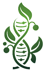 Deepanshu Khairwal Logo