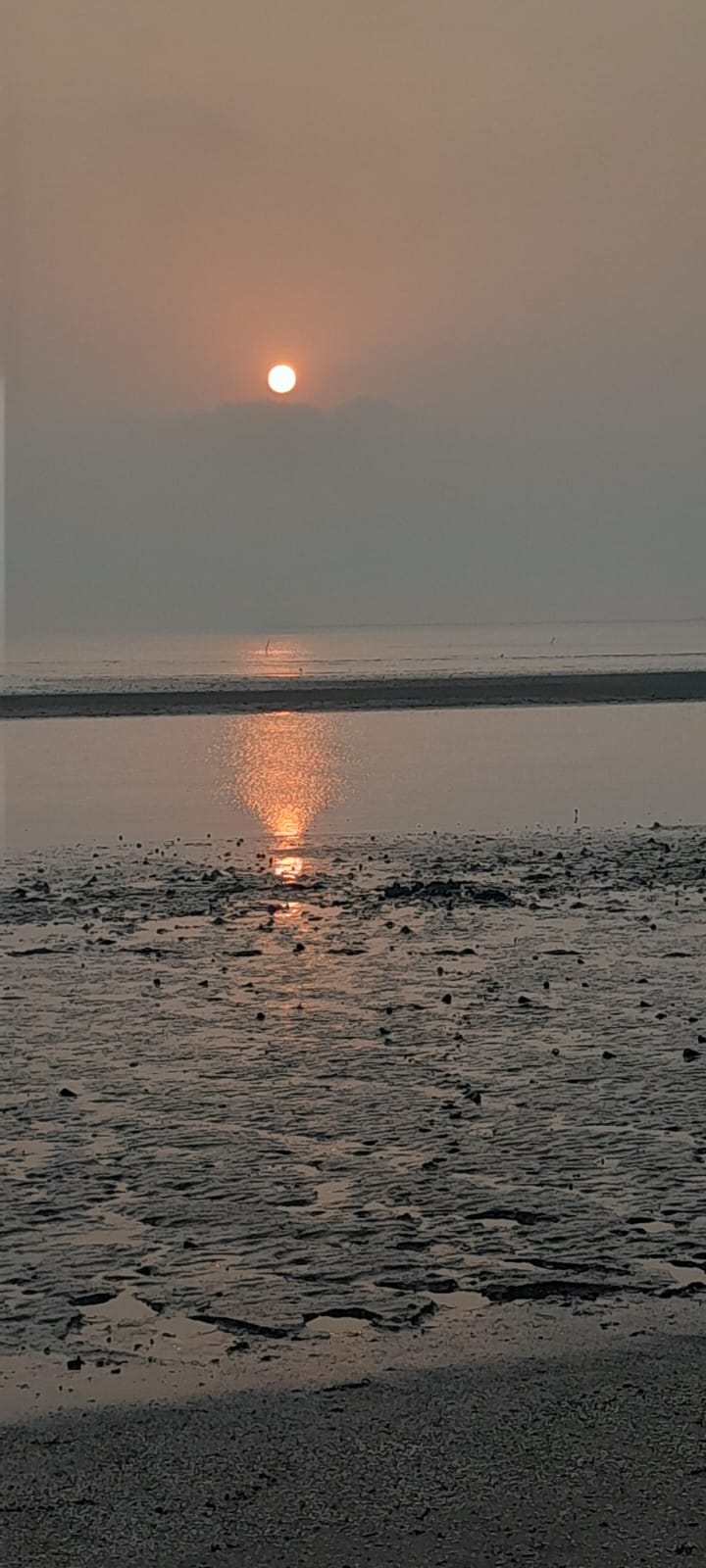 Sunset Reflection on Quiet Shore