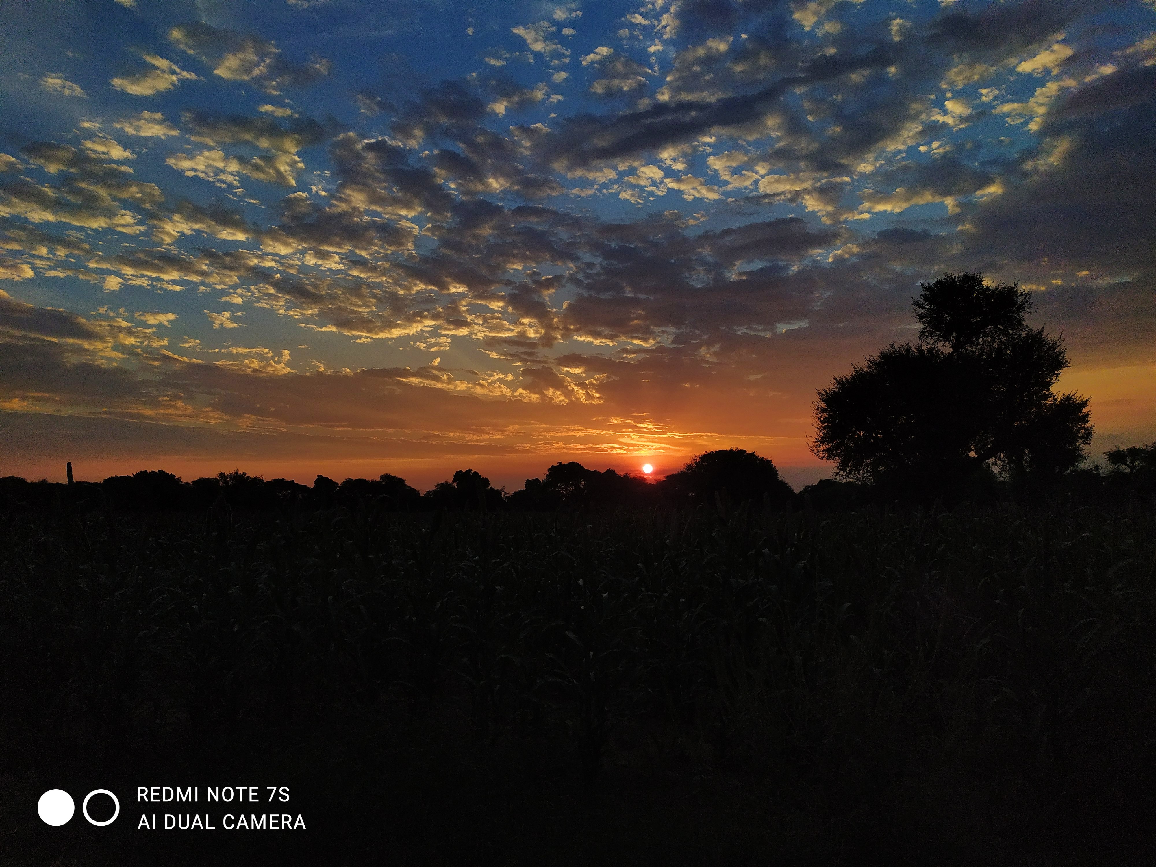 Afterglow Over the Fields