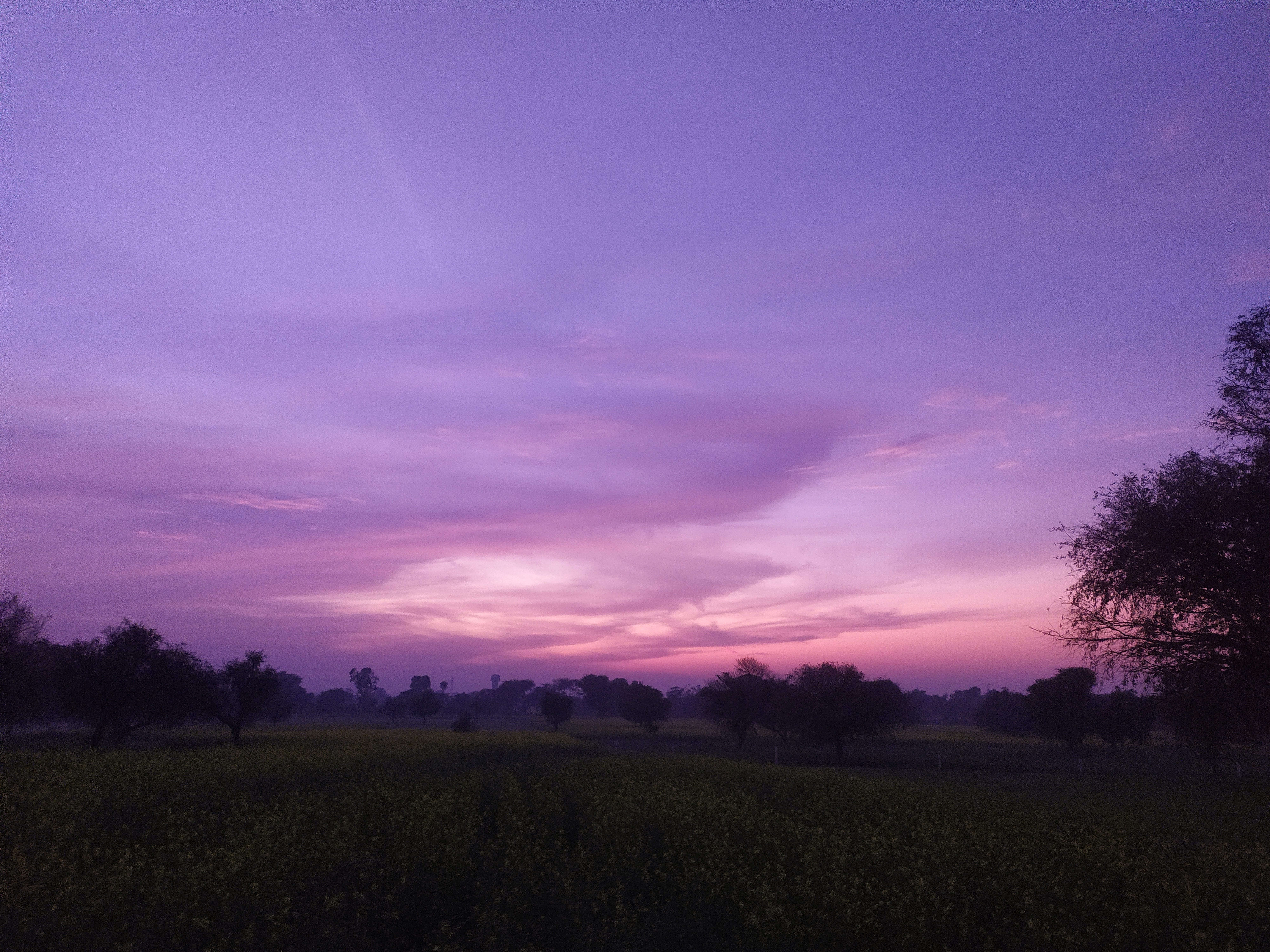Lavender Sky Over Open Ground