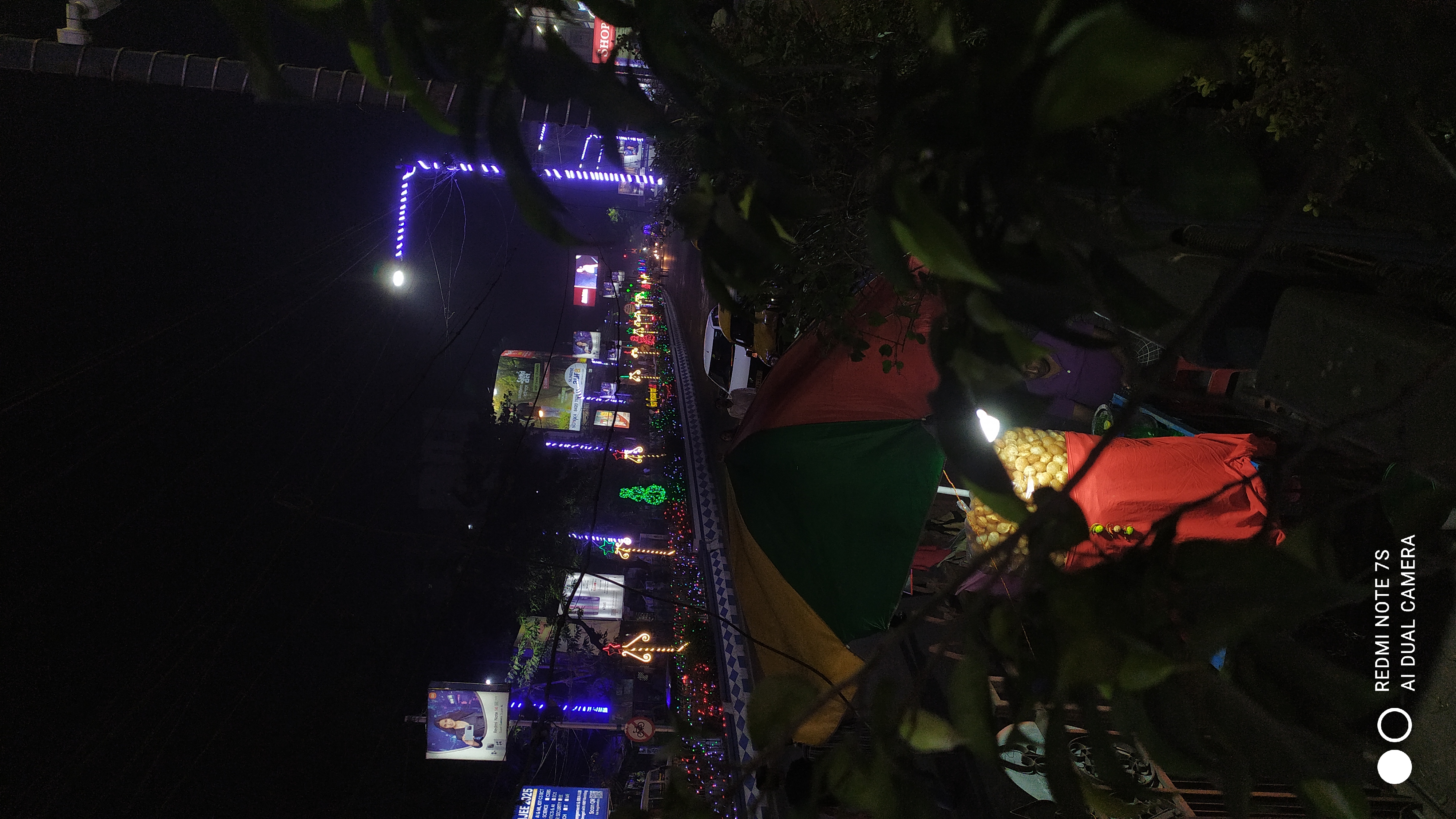 City Lights Through Leaves
