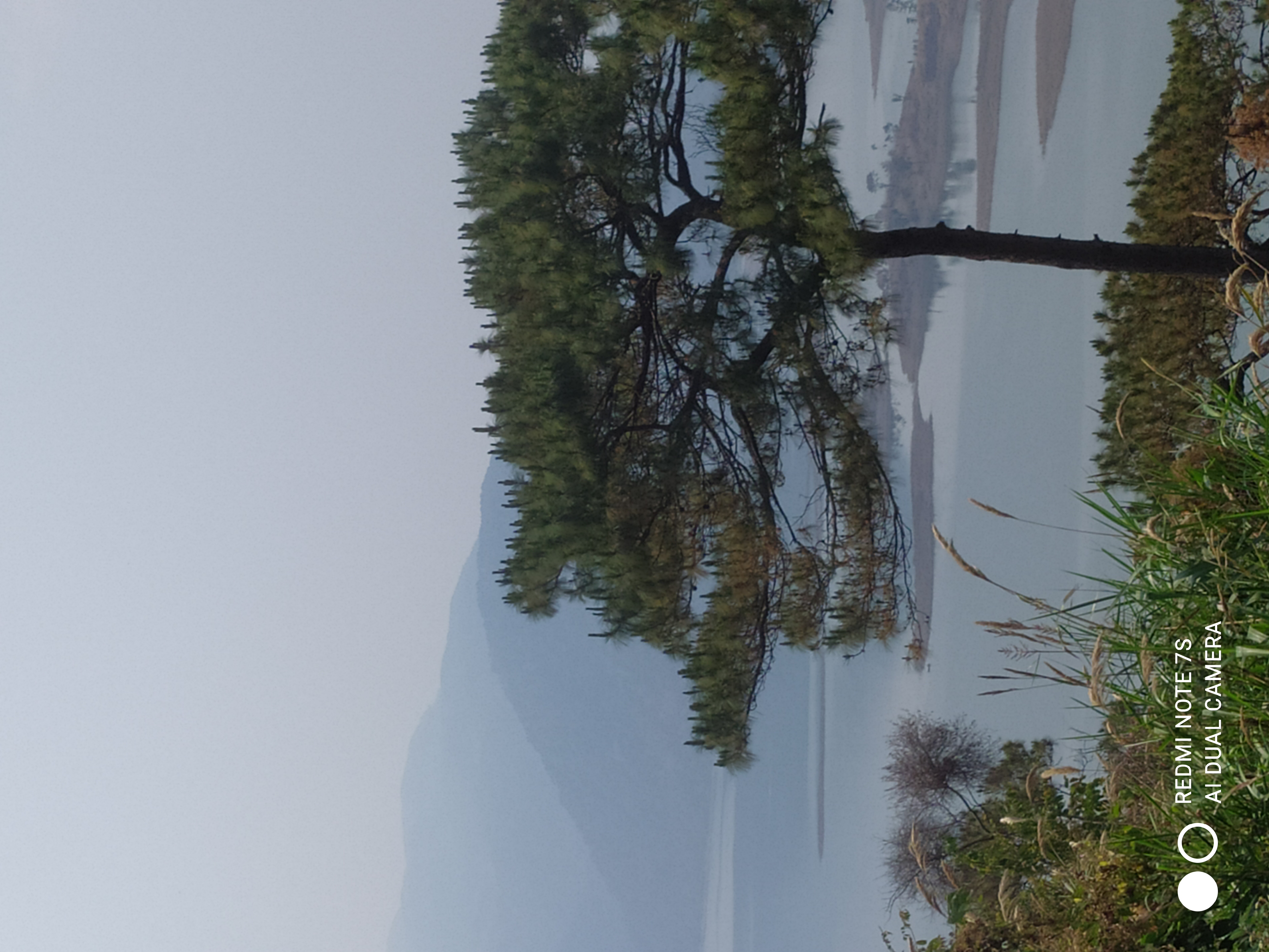 Reflection Turned Sideways
