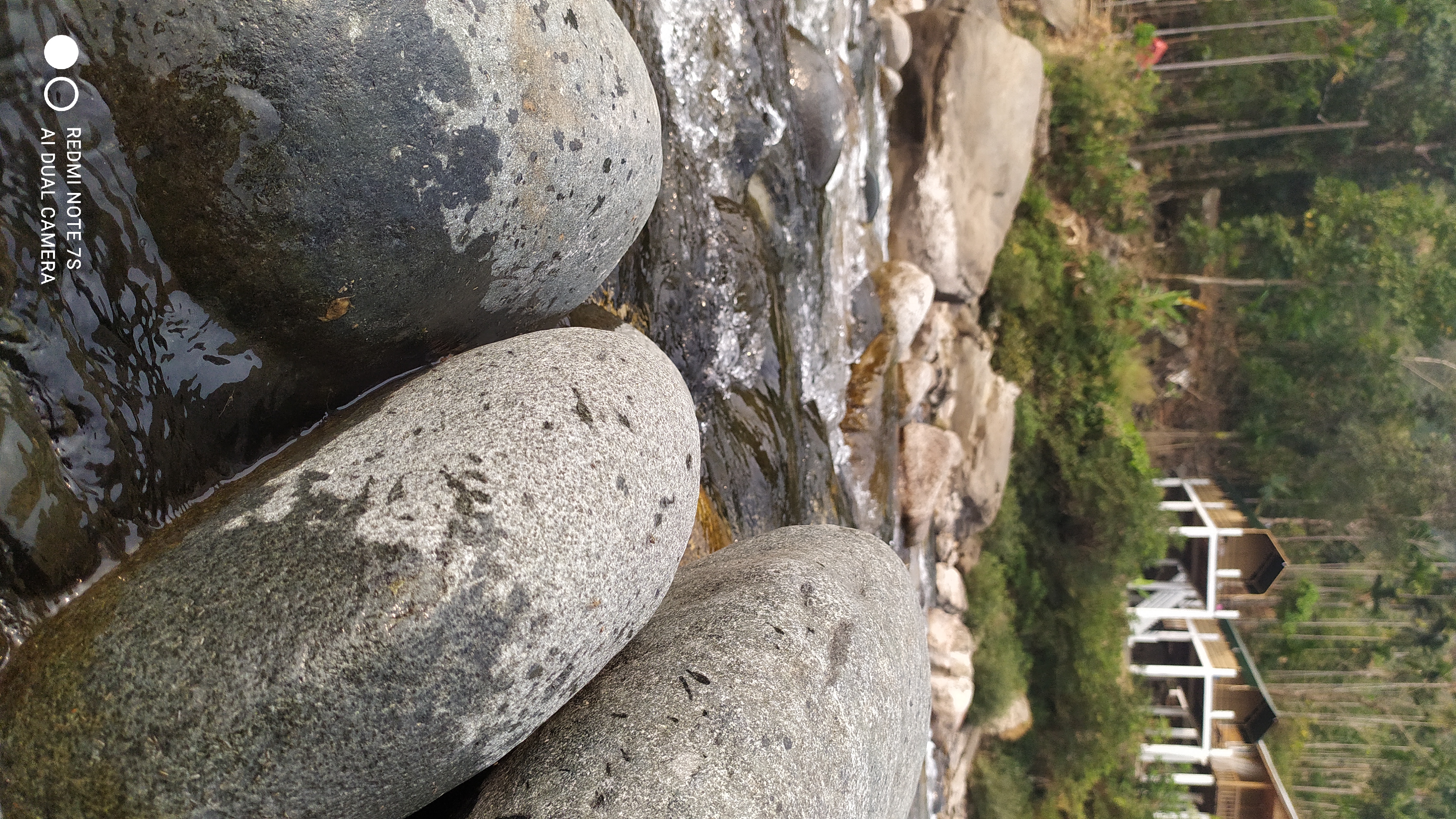 Stone and Water Detail