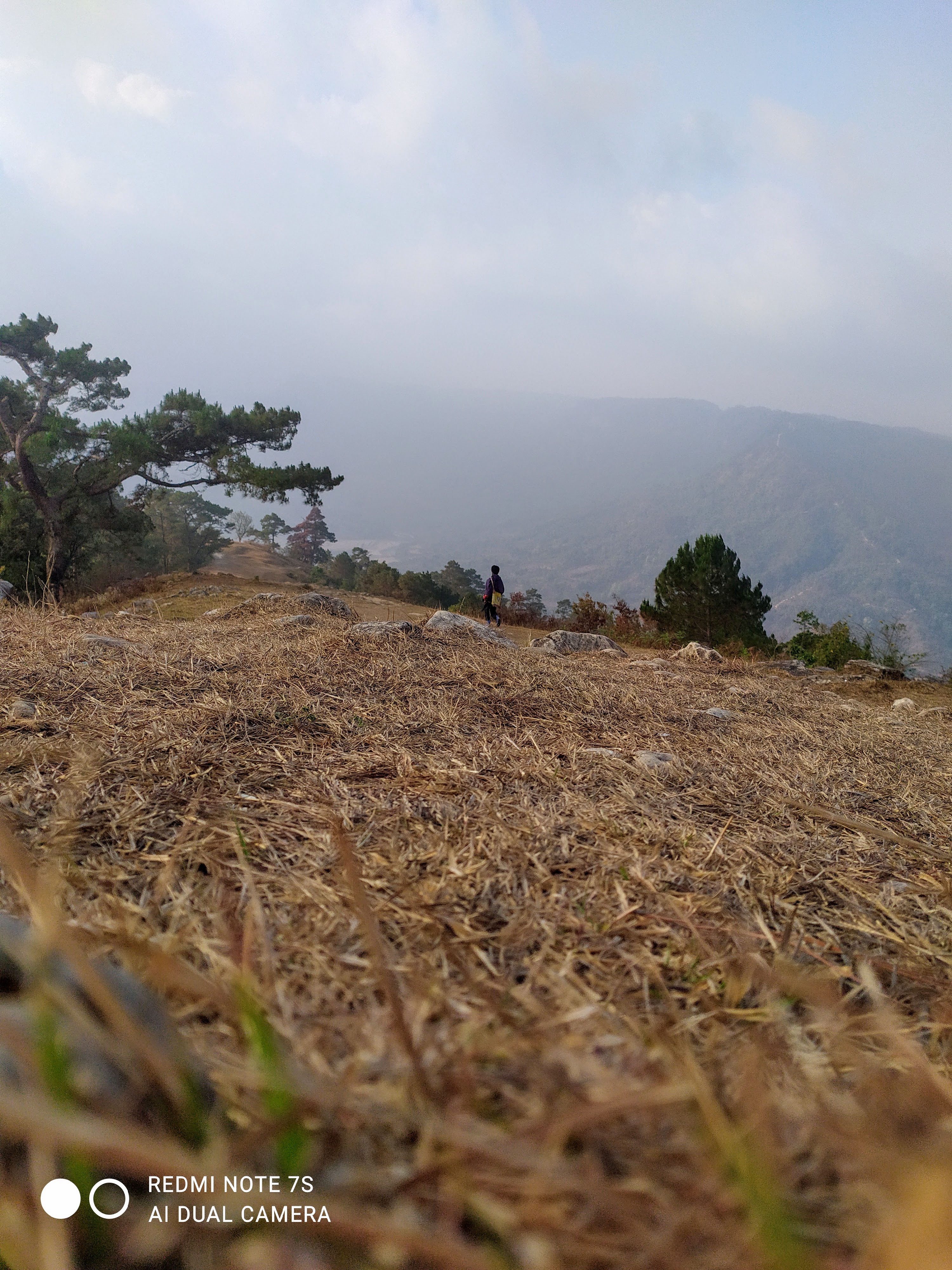 Wind-Swept Ridge