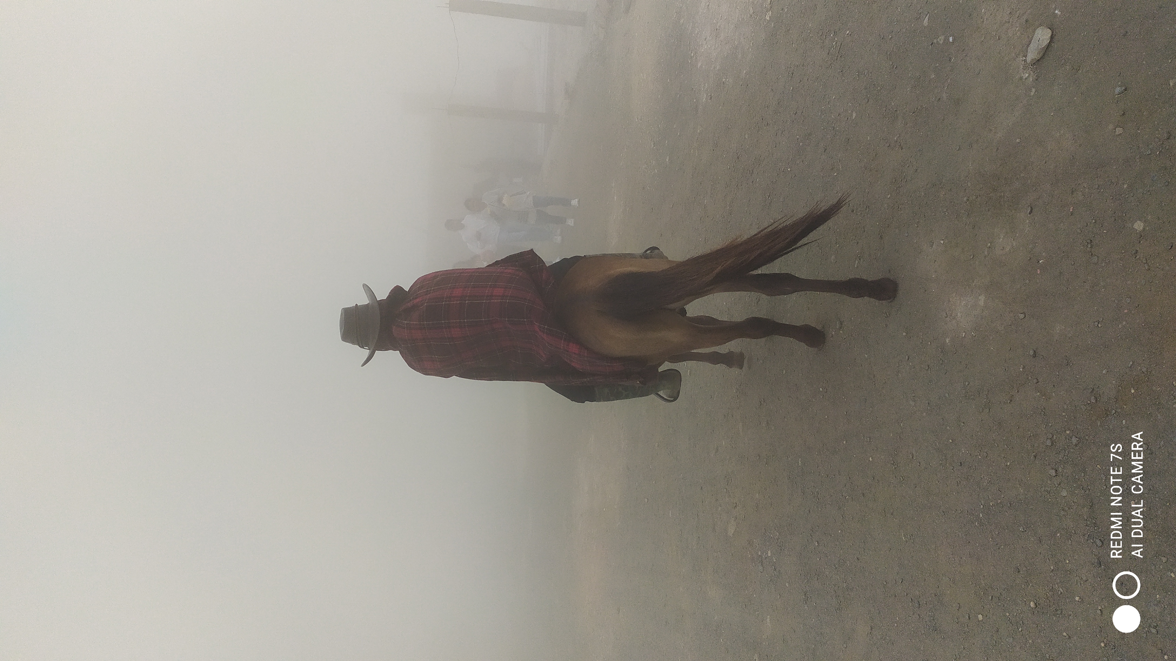 Rider Through the Fog
