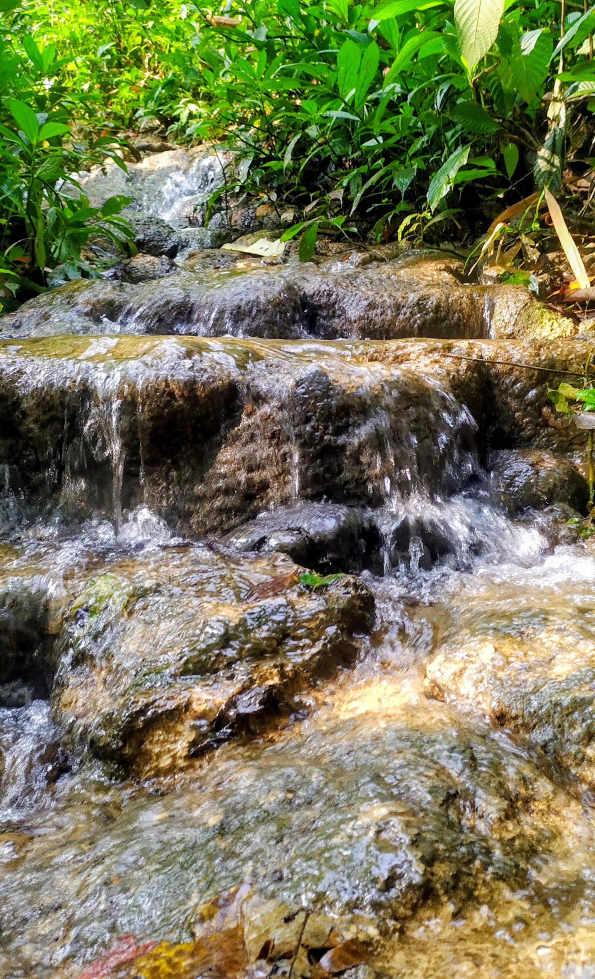 Layered Stream Over Stone
