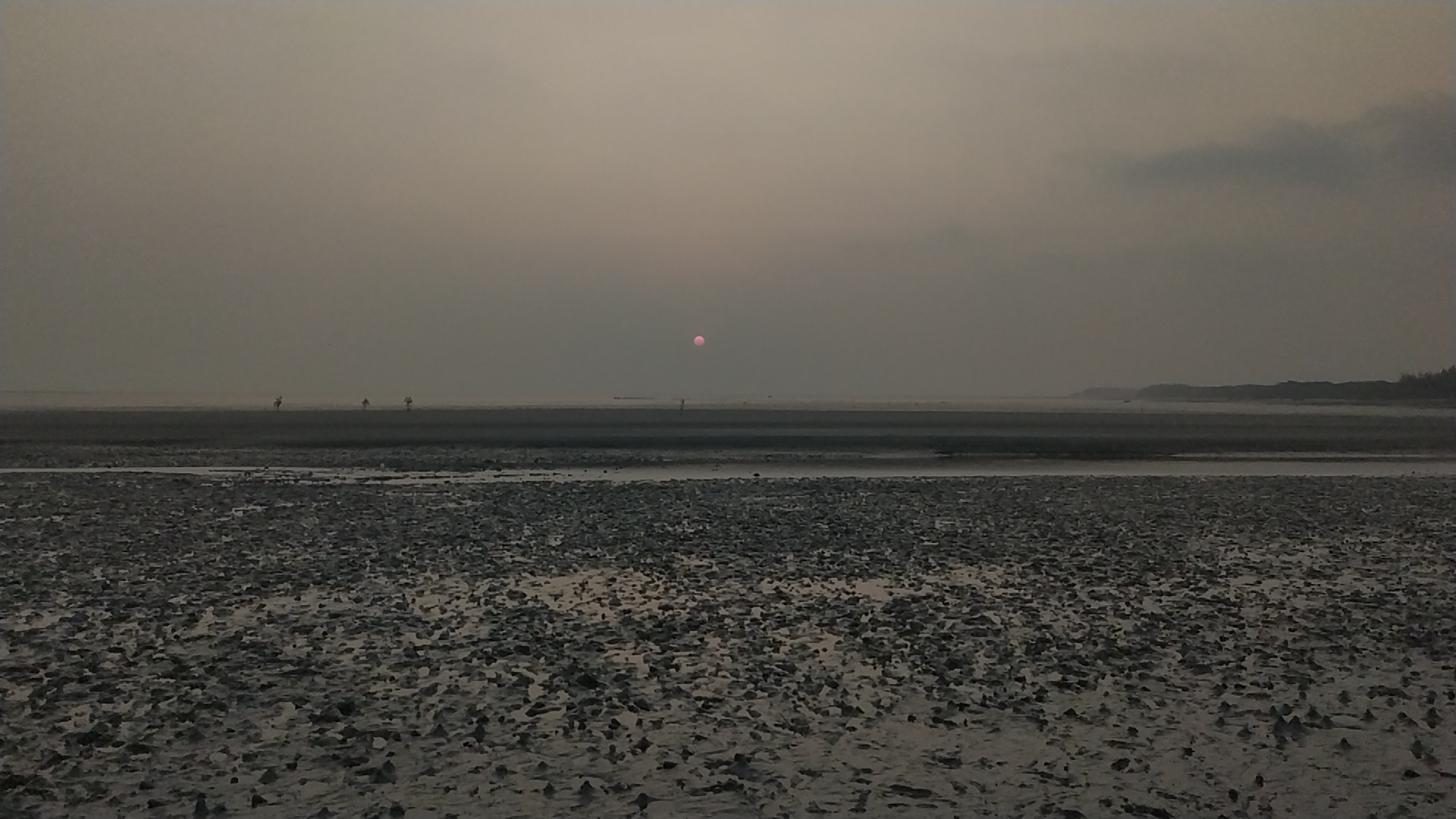 Flat Tide Under a Pale Sun