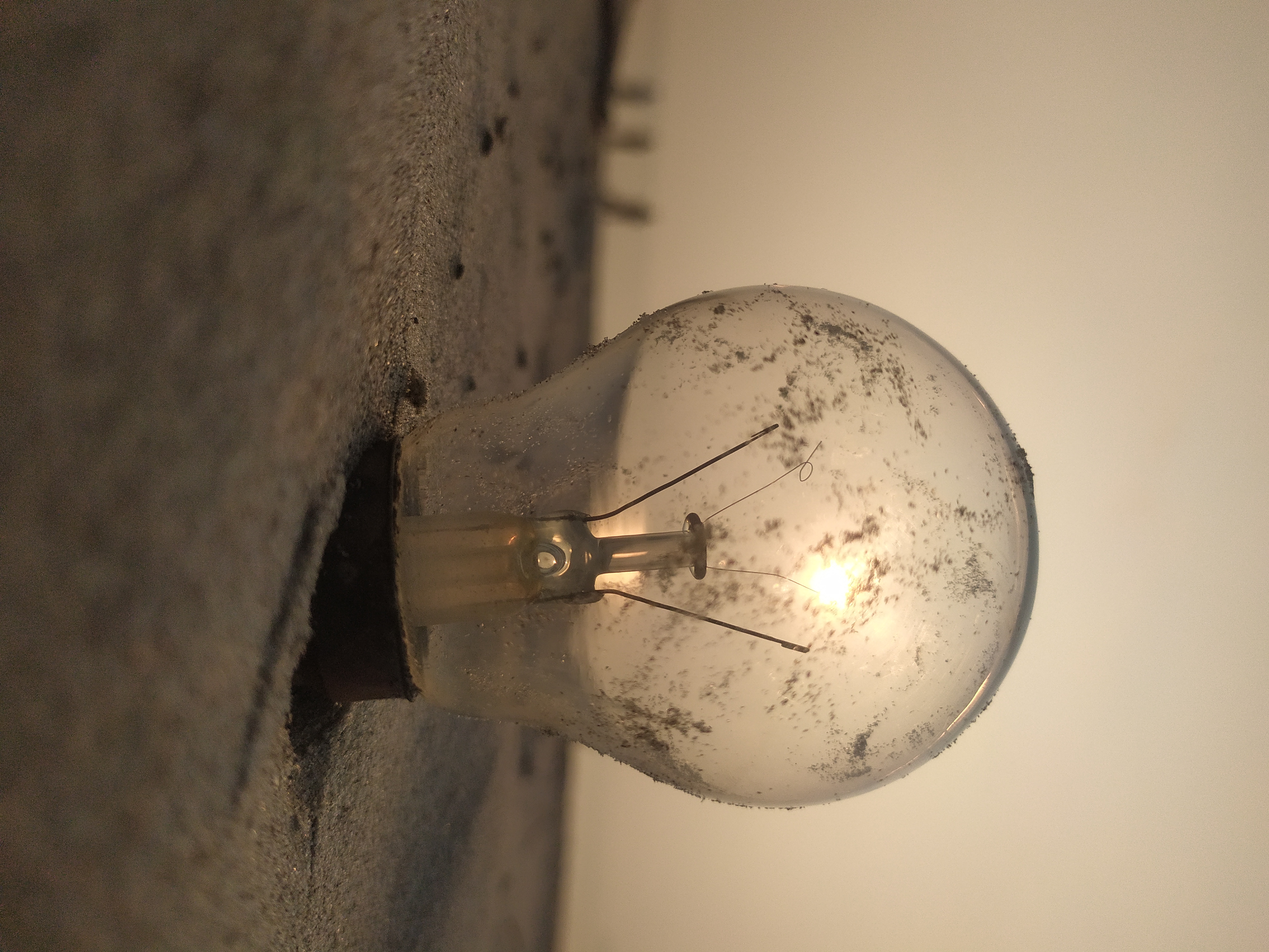 Old Bulb in Warm Shadow